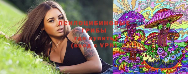индика Белая Холуница