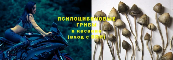 не бодяженный Нязепетровск