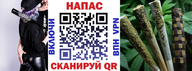 Конопля марихуана  как найти   Сокол 